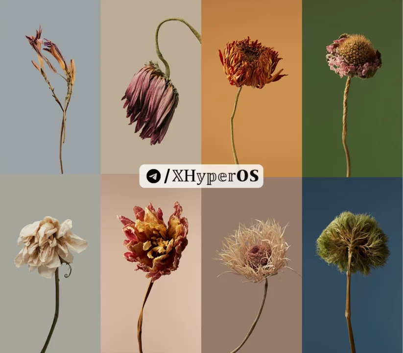 Get 30+ Full HD HyperOS Wallpapers: Download for a Depth Effect! 5 HyperOS Flower Wallpapers by XHyperOS