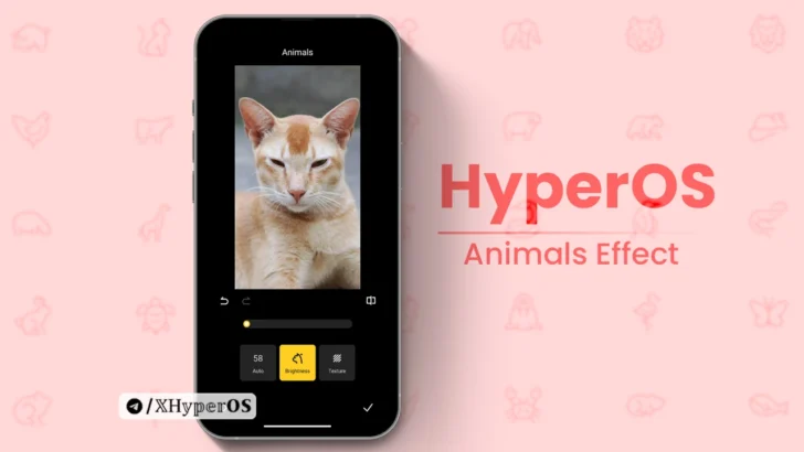 Customize Animals in HyperOS