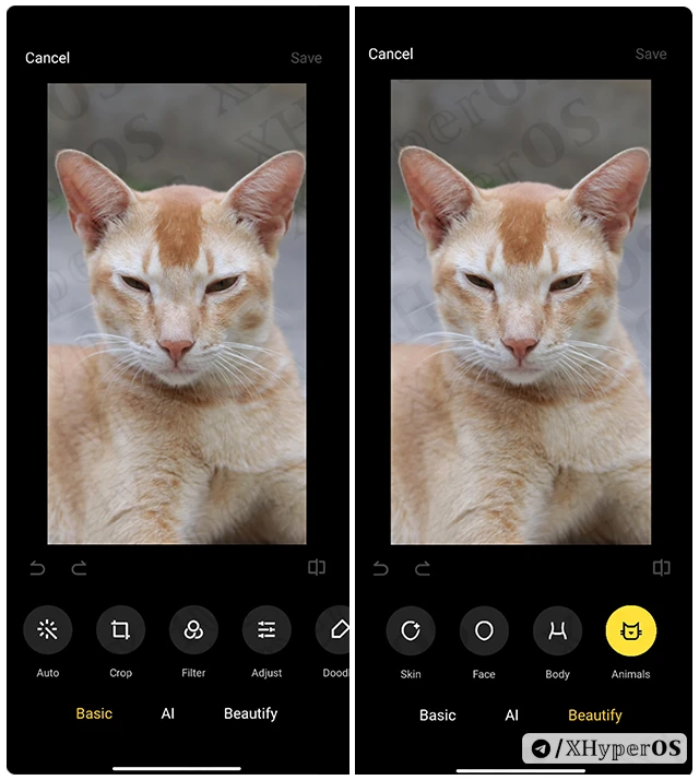 How to Customize Animal/Pet Photos in Xiaomi 3 Customize Animals in HyperOS Step 3-4