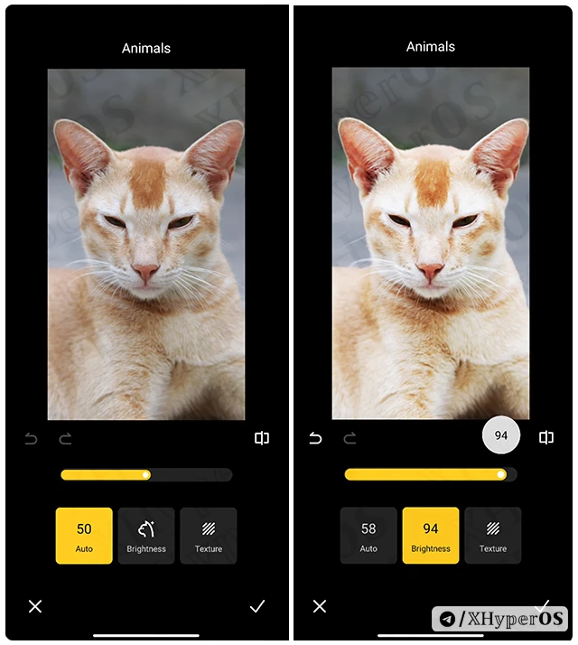 How to Customize Animal/Pet Photos in Xiaomi 4 Customize Animals in HyperOS Step 5-6